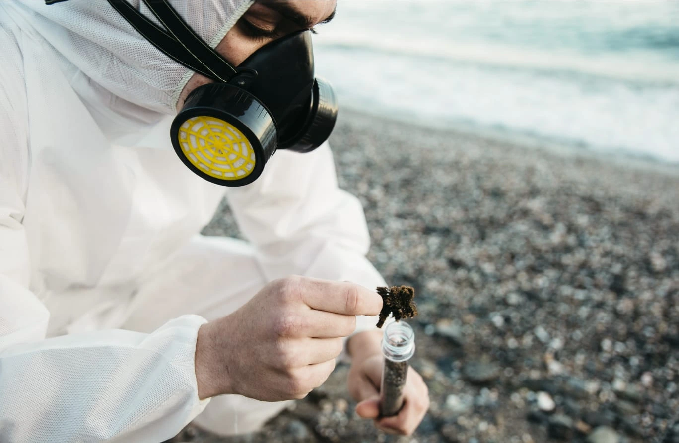 WhatsApp Image 2025 12 01 at 2.40.58 PM